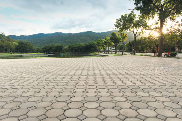 Best Driveway Paving Company  in Savoy, IL