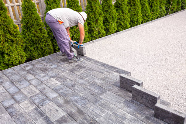 Best Local Driveway Pavers  in Savoy, IL