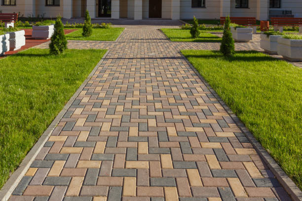 Best Best Driveway Pavers  in Savoy, IL